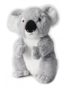 Koala Peluche