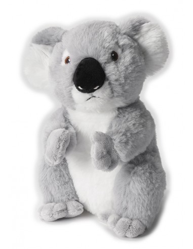 Koala Peluche