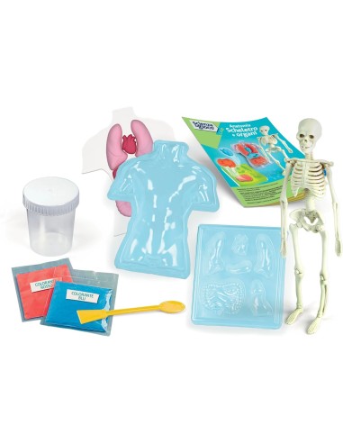 Clementoni Scienza e Gioco Anatomia Scheletro e Organi