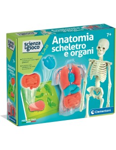 Clementoni Scienza e Gioco Anatomia Scheletro e Organi