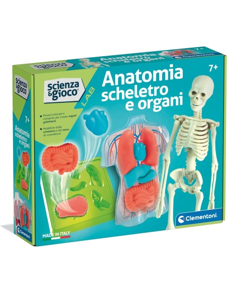 Clementoni Scienza e Gioco Anatomia Scheletro e Organi